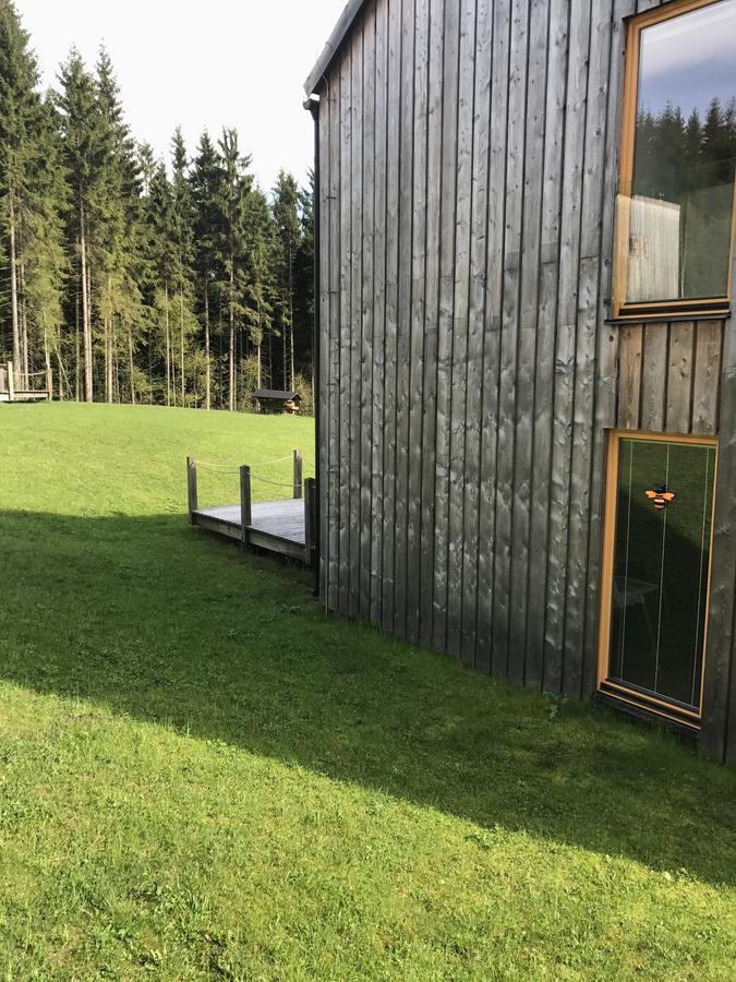 Vila Chalet6harrachov se saunou Exteriér fotografie